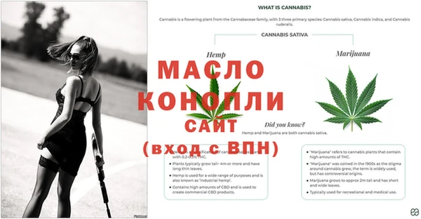 стафф Беломорск