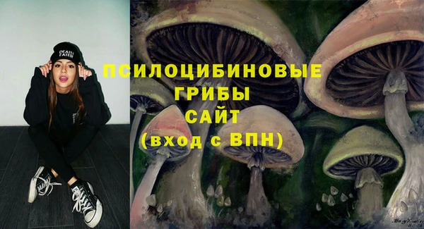 стафф Беломорск