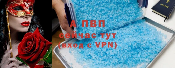 крисы Белокуриха