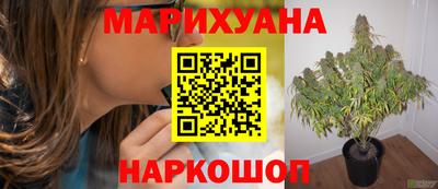 гашиш Малгобек