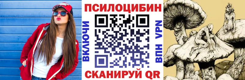 Псилоцибиновые грибы Cubensis  где купить   Обь 