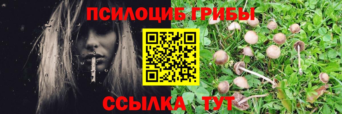 Обь  Галлюциногенные грибы MAGIC MUSHROOMS  Вход с VPN 
